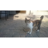 Дикая фауна - 07.jpg Дикая фауна - 07.jpg